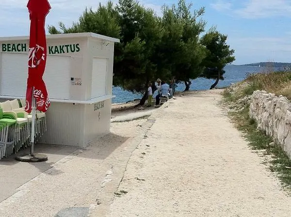 Lidija Ciovo Daire